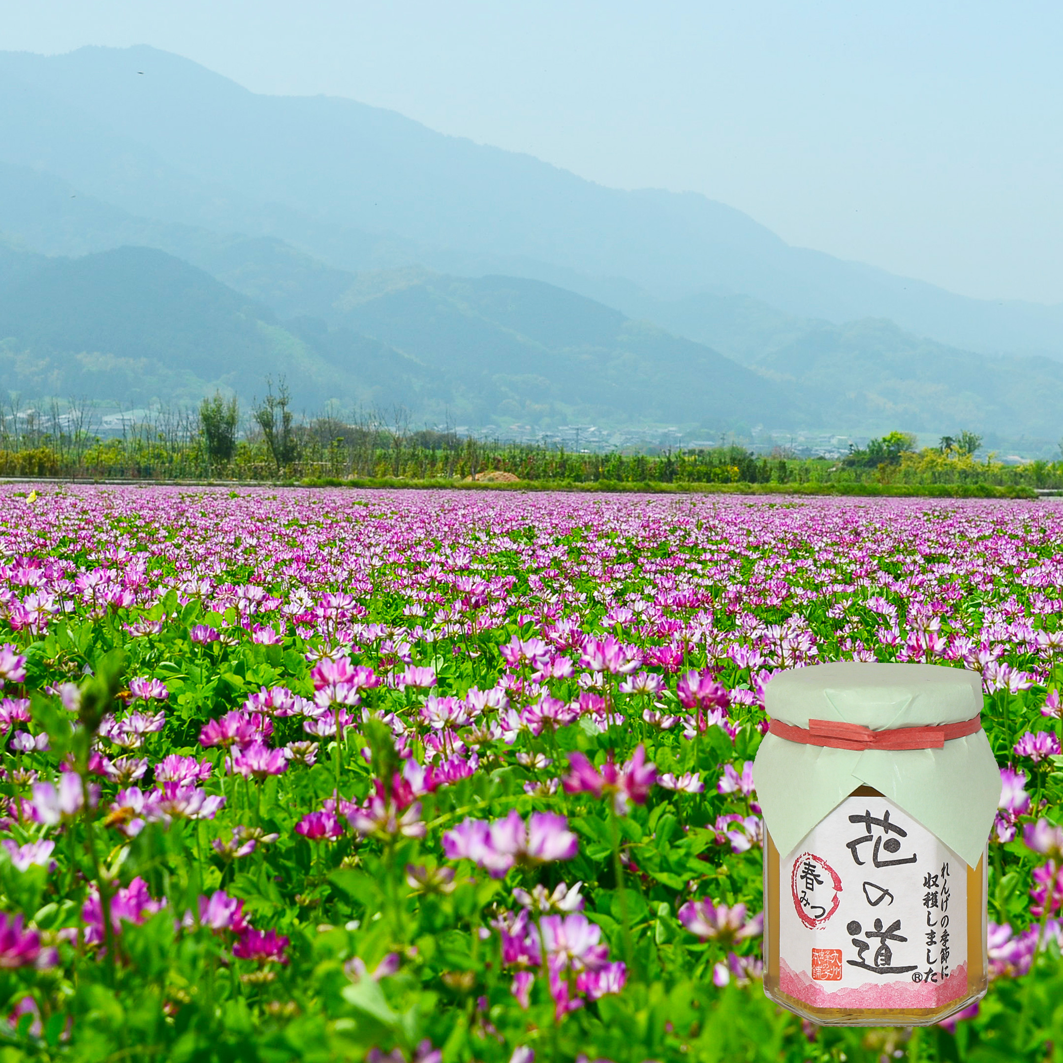 国産蜂蜜 花の道 春みつ（れんげ）