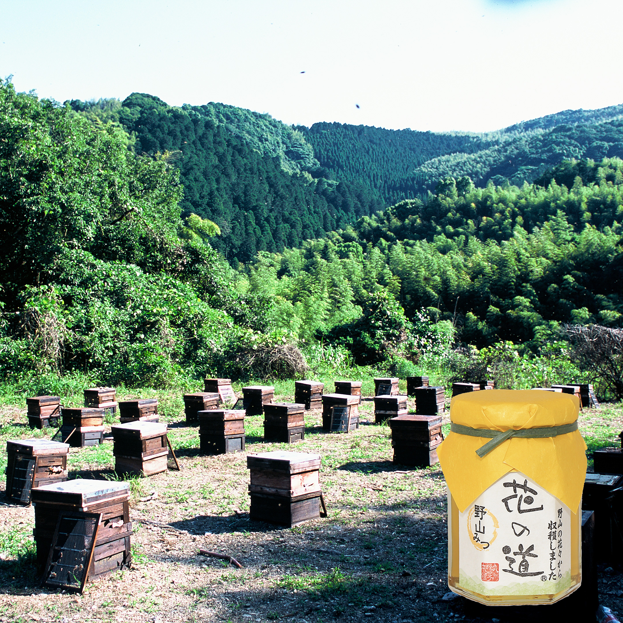 国産蜂蜜 花の道 野山みつ